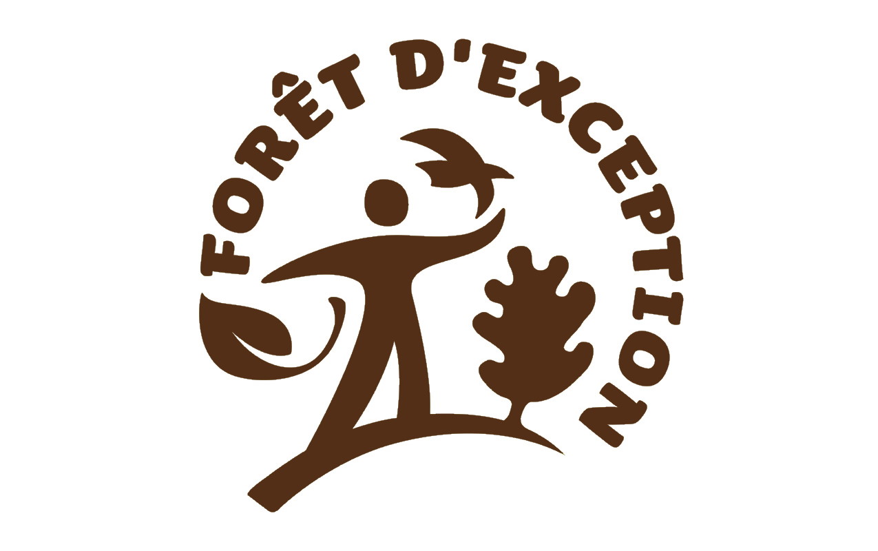 La Forêt de Boscodon obtient le label Forêt d&rsquo;Exception » »